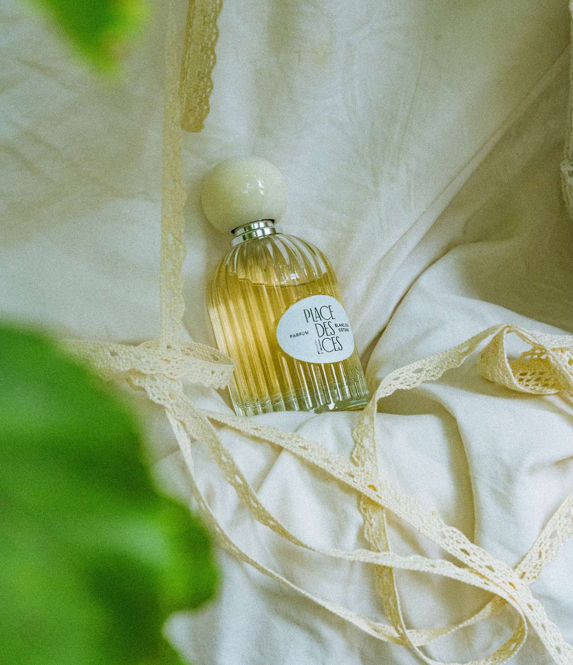 A bottle of Blanc des Cotons by Place des Lices lies amongst soft fabrics and greenery.